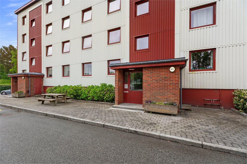 Pent og velholdt inngangsparti med sittebenk og beplantning – et hyggelig førsteinntrykk av bygget